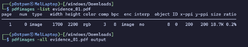 Kali pdfimg output